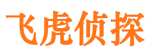 金阳市调查公司